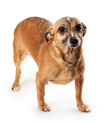 Similar image 1758121