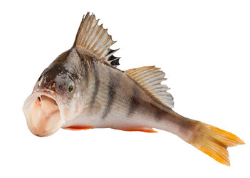 Similar image 1758122