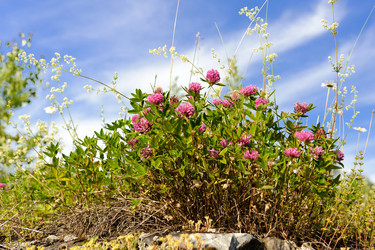 Similar image 1758125