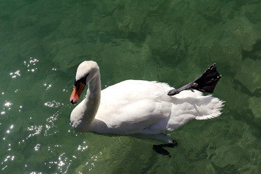 Similar image 1758127