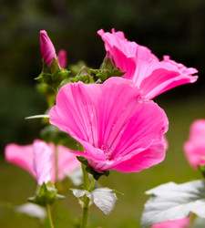 Similar image 1758154