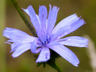 Similar image 1758155