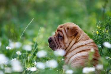 Similar image 1758156