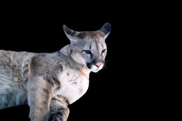 Similar image 1758165