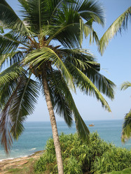 Similar image 1758182