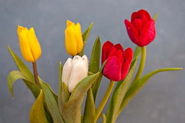 Similar image 1758258