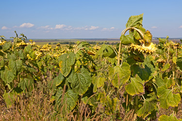 Similar image 1758262