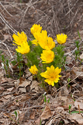 Similar image 1758264