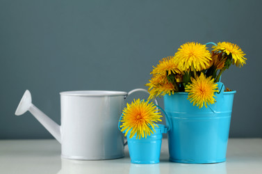 Similar image 1758287