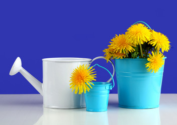 Similar image 1758292