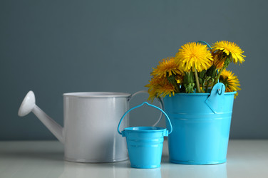 Similar image 1758293