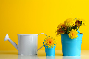 Similar image 1758295