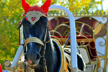 Similar image 1758325