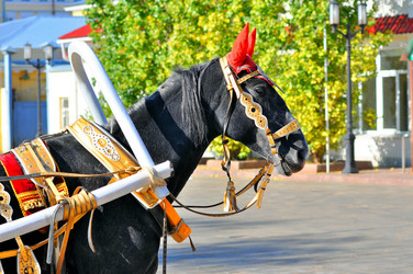 Similar image 1758327