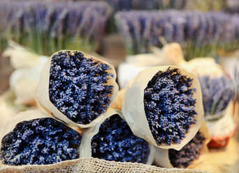 Similar image 1758406