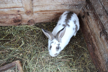 Similar image 1758455