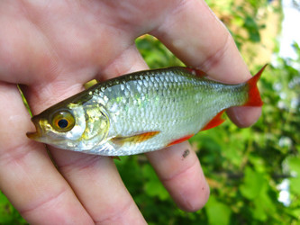 Similar image 1758477