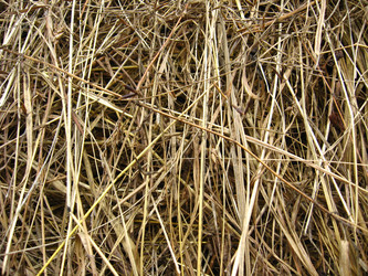 Similar image 1758486