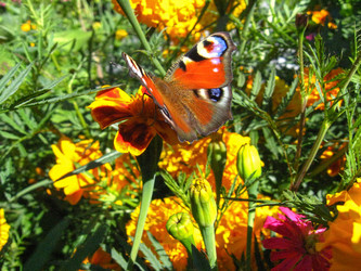 Similar image 1758488