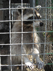 Similar image 1758490