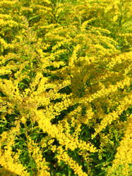 Similar image 1758491