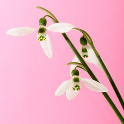 Similar image 1758496