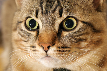 Similar image 1758557