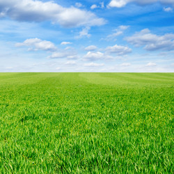 Similar image 1758561