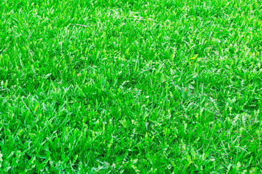 Similar image 1758562