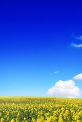 Similar image 1758566