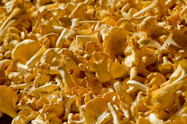 Similar image 1758668