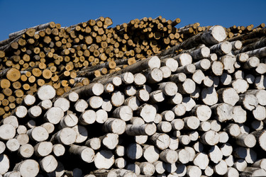 Similar image 1758843