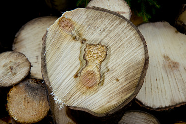 Similar image 1758850