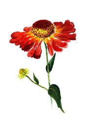 Similar image 1758892