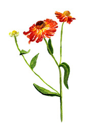 Similar image 1758894