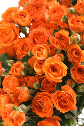 Similar image 1758965