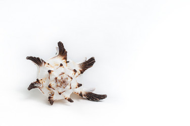 Similar image 1758971