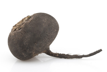 Similar image 1758976