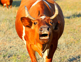 Similar image 1758991