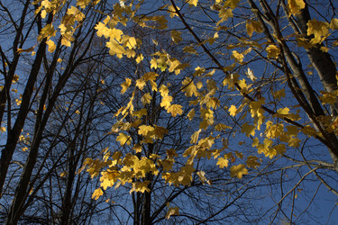 Similar image 1758996