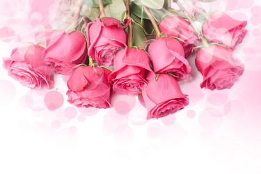 Similar image 1759033