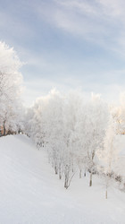 Similar image 1759040