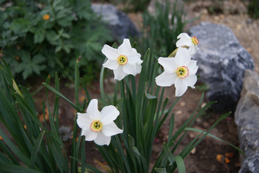 Similar image 1759062