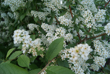 Similar image 1759063