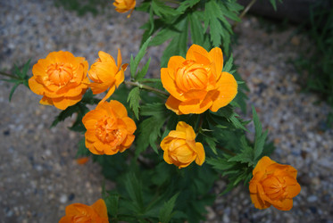 Similar image 1759064