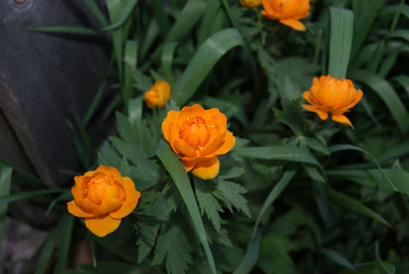 Similar image 1759065