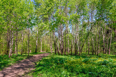 Similar image 1759073