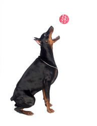 Similar image 1759092