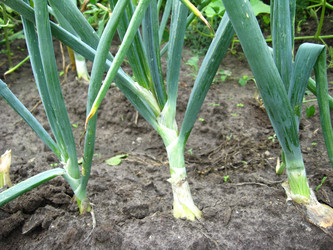 Similar image 1759157