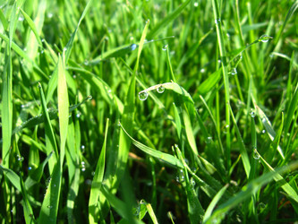 Similar image 1759158